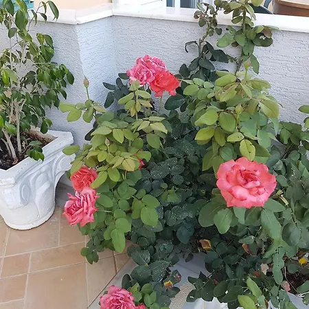 Xani Apartmán