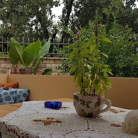 Apartamento Xani